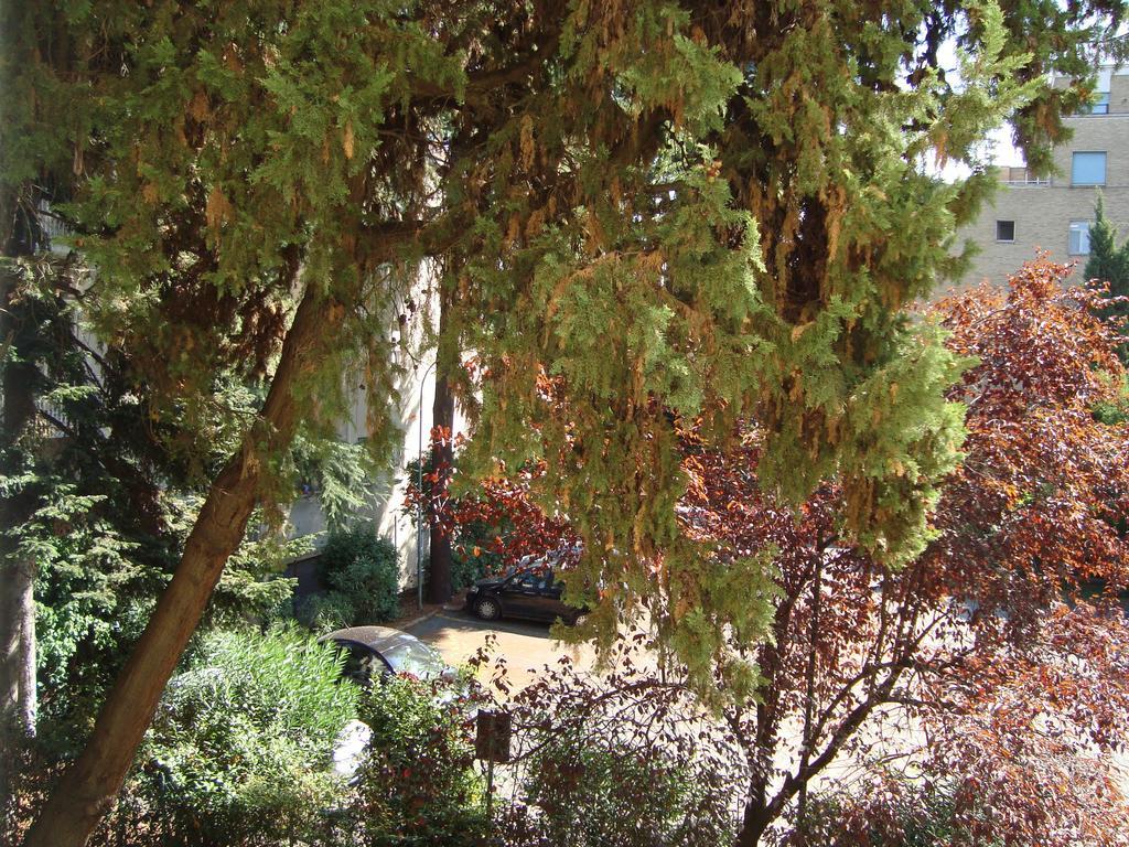 Villa Sciarra Rome Kamer foto